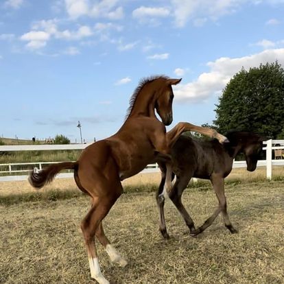 347394547_751346200325052_3598518790049213849_n