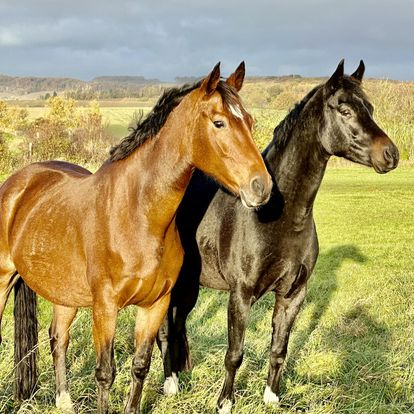 399307464_834814288644909_4480213734121744954_n